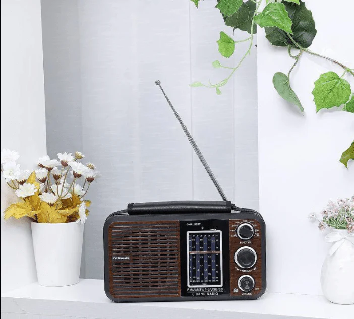 Rechargeable Radio